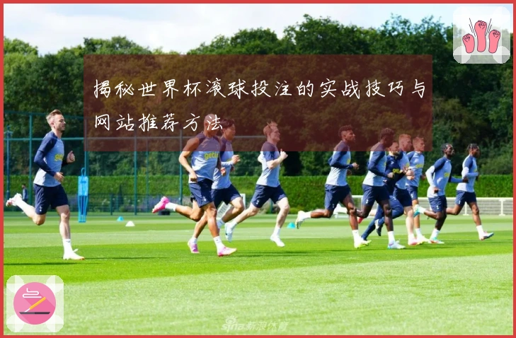 揭秘世界杯滚球投注的实战技巧与网站推荐方法