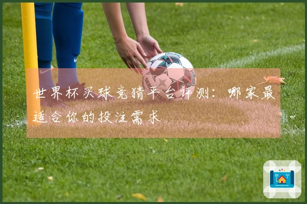 世界杯买球竞猜平台评测：哪家最适合你的投注需求