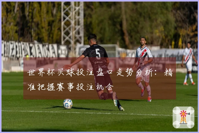 世界杯买球投注盘口走势分析：精准把握赛事投注机会