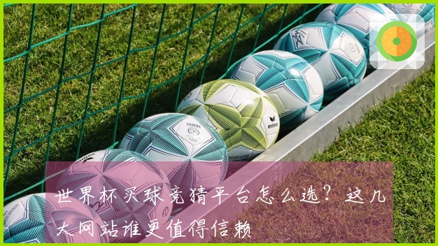 世界杯买球竞猜平台怎么选？这几大网站谁更值得信赖