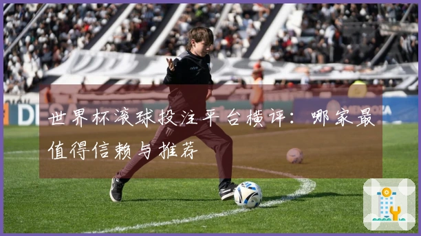 世界杯滚球投注平台横评：哪家最值得信赖与推荐