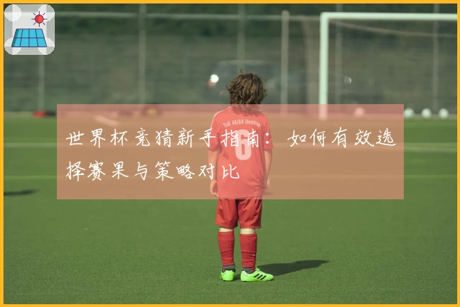 世界杯竞猜新手指南：如何有效选择赛果与策略对比
