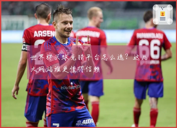 世界杯买球竞猜平台怎么选？这几大网站谁更值得信赖