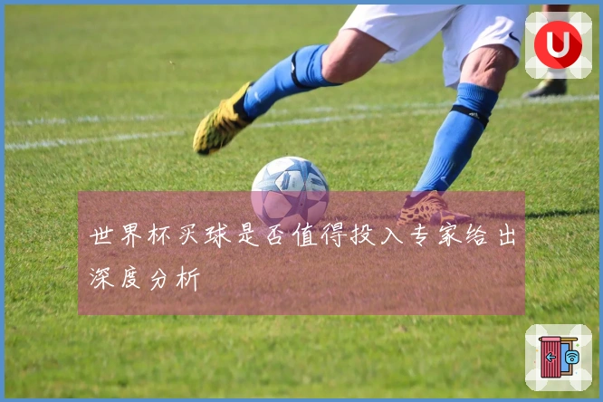 世界杯买球是否值得投入专家给出深度分析