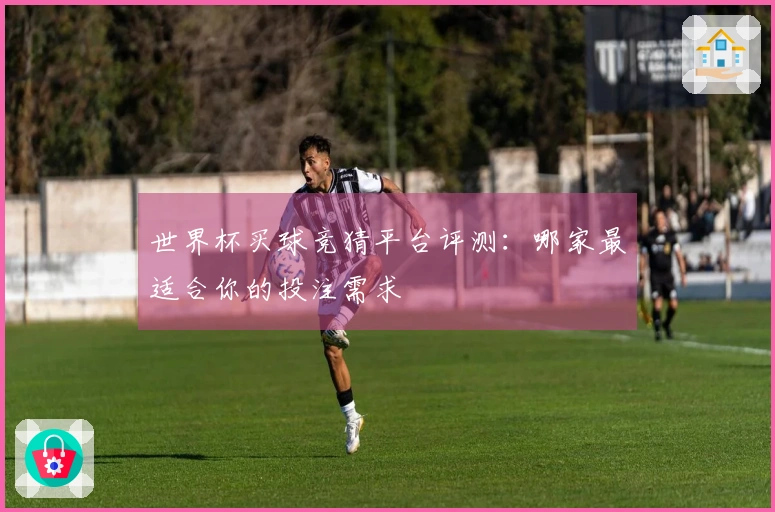 世界杯买球竞猜平台评测：哪家最适合你的投注需求