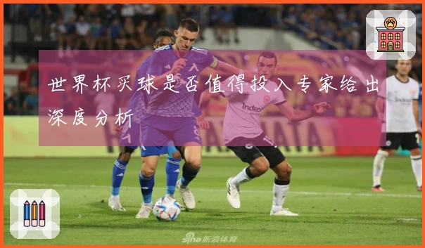 世界杯买球是否值得投入专家给出深度分析